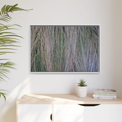 Whispers of Silver Grass - Unique Stretched Canvas Wall Art