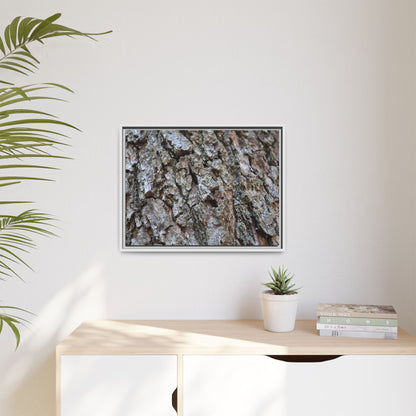 Woodland Canvas - Unique Stretched Canvas Wall Art