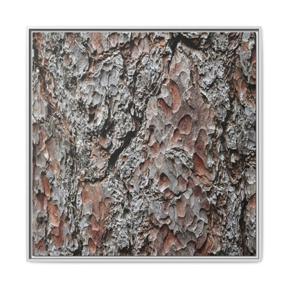 Bark Texture Symphony - Unique Stretched Canvas Wall Art