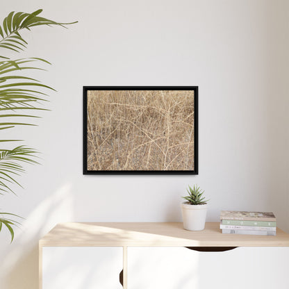 Golden Stalks - Unique Stretched Canvas Wall Art