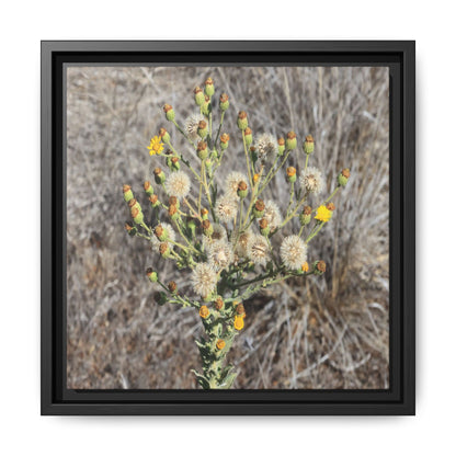 Whispers of the Dry Grass - Unique Stretched Canvas Wall Art - Art By Earth