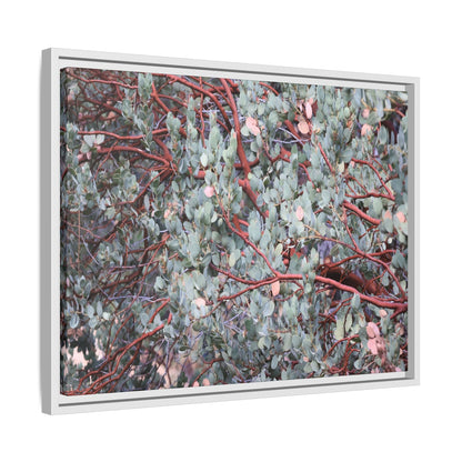 Whispers of Sage - Unique Stretched Canvas Wall Art