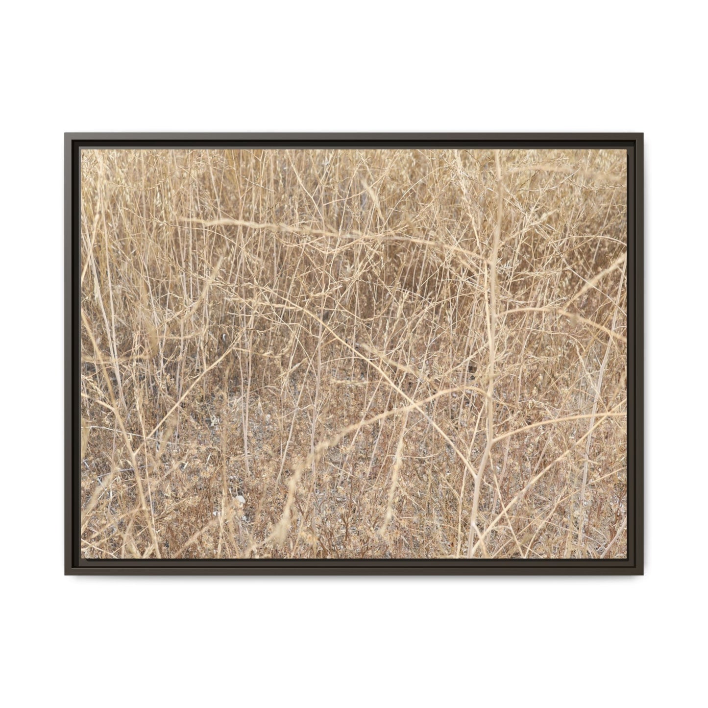Golden Stalks - Unique Stretched Canvas Wall Art