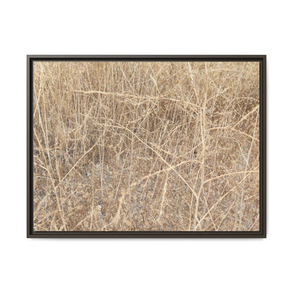 Golden Stalks - Unique Stretched Canvas Wall Art