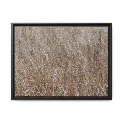Dry Grass Symphony - Unique Stretched Canvas Wall Art - Art By Earth
