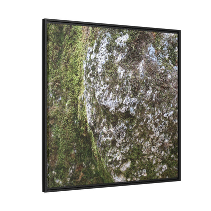 Lichen Landscape - Unique Stretched Canvas Wall Art