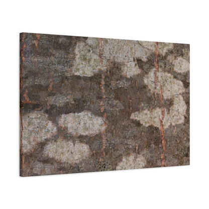 Earthen Memoir - Unique Frameless Canvas Wall Art