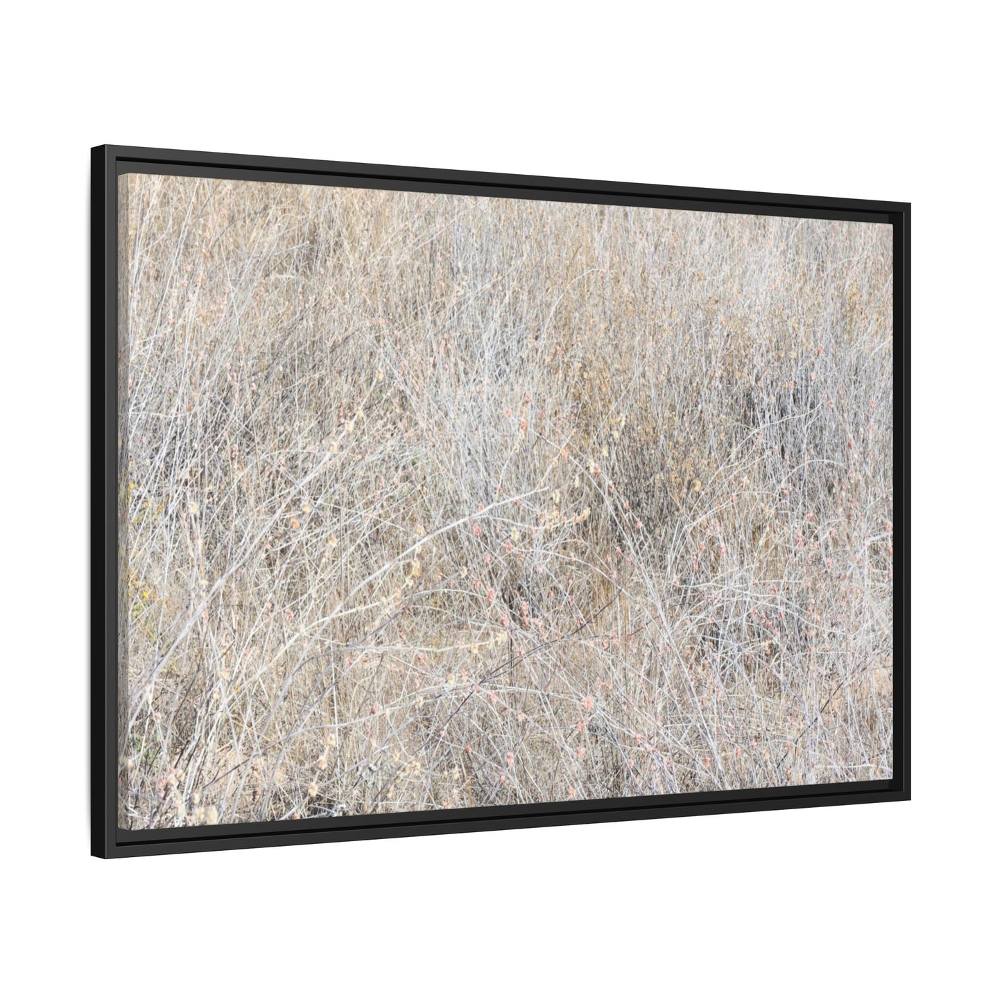 Faded Memories - Unique Stretched Canvas Wall Art - Art By Earth