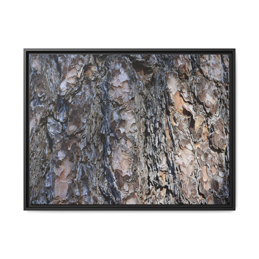 Weathered Patterns - Unique Stretched Canvas Wall Art
