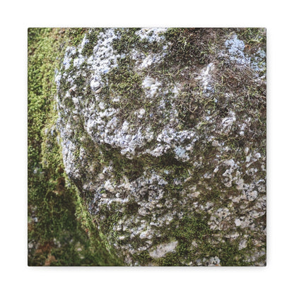 Moss and Stone Whispers - Unique Frameless Canvas Wall Art