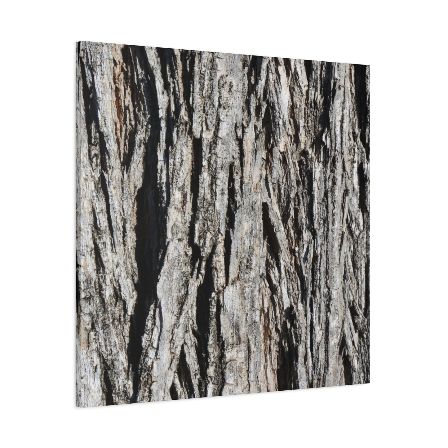 Bark Layers in Monochrome - Unique Frameless Canvas Wall Art