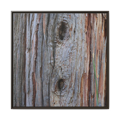 Knotty Nature - Unique Stretched Canvas Wall Art