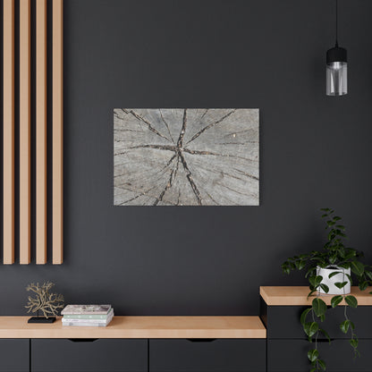Cracked Chronicle - Unique Frameless Canvas Wall Art