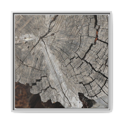 Time's Signature - Unique Stretched Canvas Wall Art