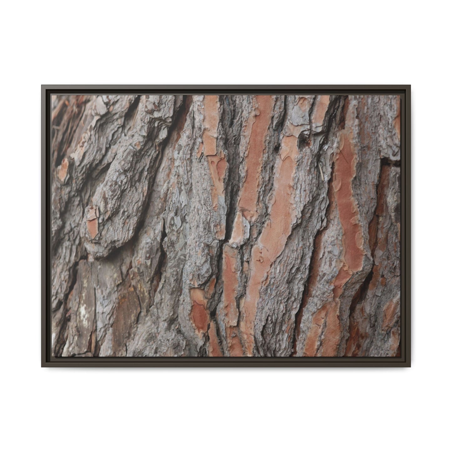 Woodland Layers - Unique Stretched Canvas Wall Art