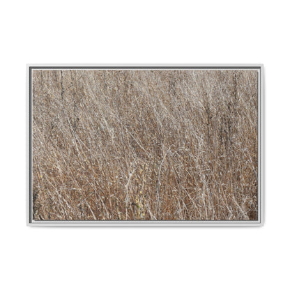 Dry Grass Symphony - Unique Stretched Canvas Wall Art - Art By Earth
