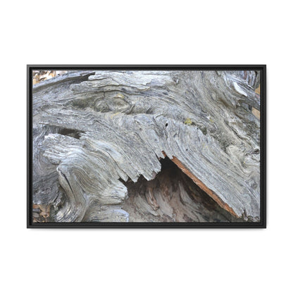 Driftwood Dreams - Unique Stretched Canvas Wall Art