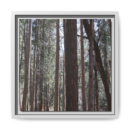 Forest Cathedral - Unique Stretched Canvas Wall Art
