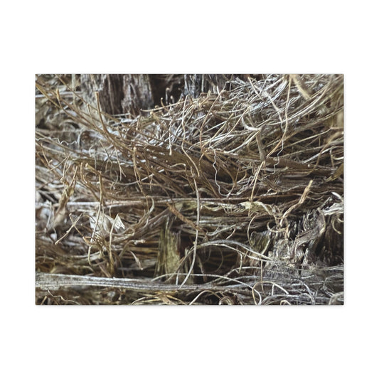 Whispers in Dry Grass - Unique Frameless Canvas Wall Art