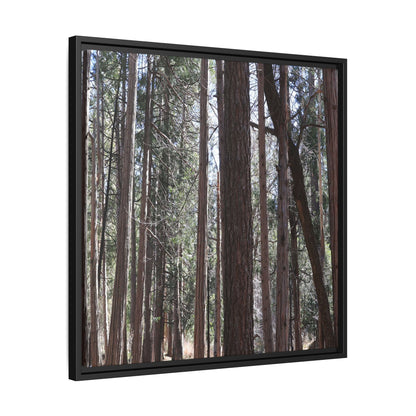 Forest Cathedral - Unique Stretched Canvas Wall Art