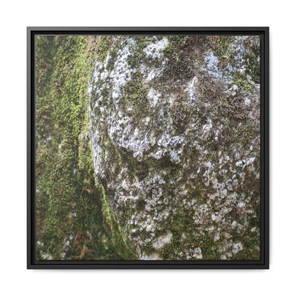Lichen Landscape - Unique Stretched Canvas Wall Art
