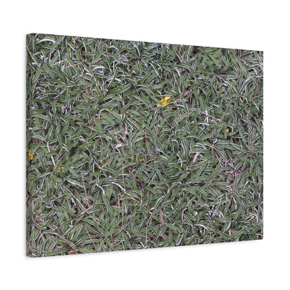 Tangled Memories - Unique Frameless Canvas Wall Art