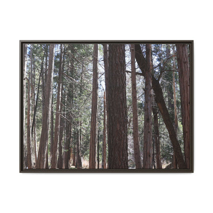 Forest Cathedral - Unique Stretched Canvas Wall Art