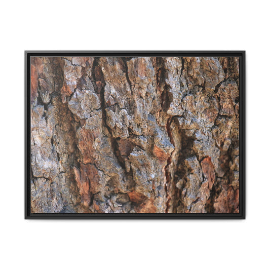Craggy Textures - Unique Stretched Canvas Wall Art