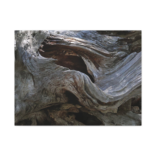 Twisted Fate - Unique Frameless Canvas Wall Art