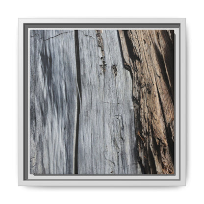 Wood's Lament - Unique Stretched Canvas Wall Art