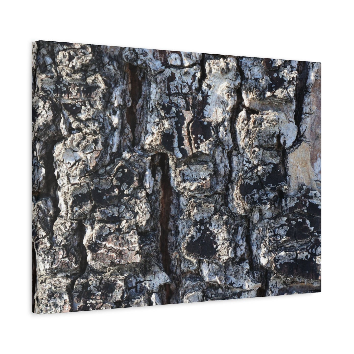 Textured Whispers of the Ancient Tree - Unique Frameless Canvas Wall Art