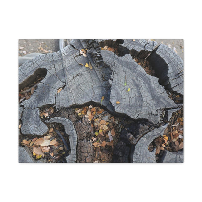 Weathered Woodland Whispers - Unique Frameless Canvas Wall Art