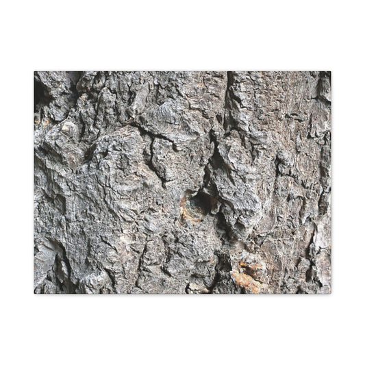 Elemental Canvas - Unique Frameless Canvas Wall Art