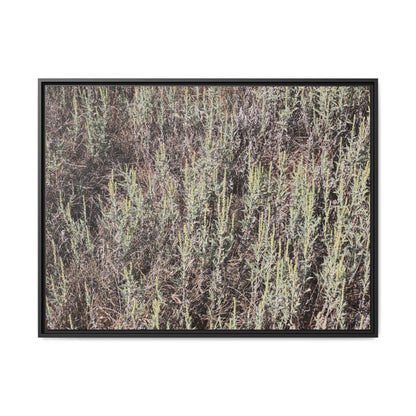 Sage Fields Forever - Unique Stretched Canvas Wall Art - Art By Earth