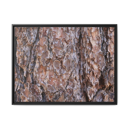 Woody Layers - Unique Stretched Canvas Wall Art
