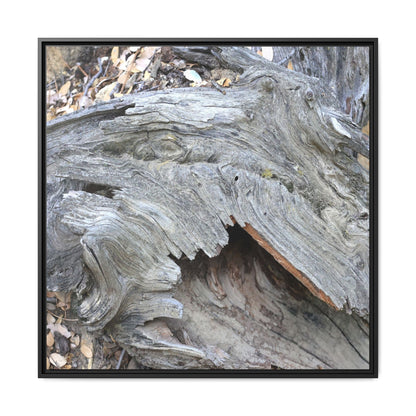 Driftwood Dreams - Unique Stretched Canvas Wall Art