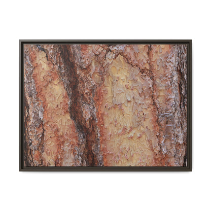 Rustic Rhythms - Unique Stretched Canvas Wall Art