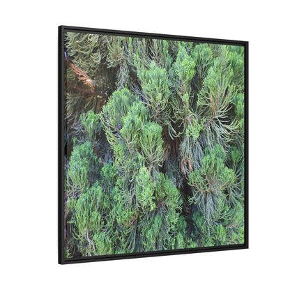 Verdant Whispers - Unique Stretched Canvas Wall Art