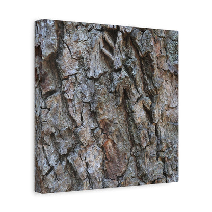 Rugged Canvas - Unique Frameless Canvas Wall Art