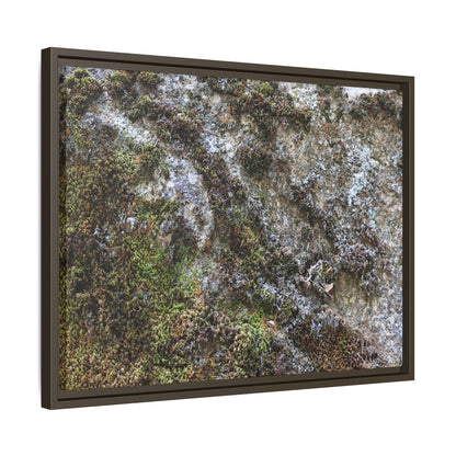 Mossy Whispers - Unique Stretched Canvas Wall Art