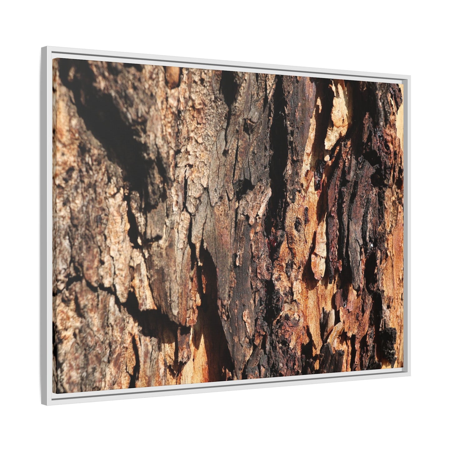 Rugged Beauty - Unique Stretched Canvas Wall Art