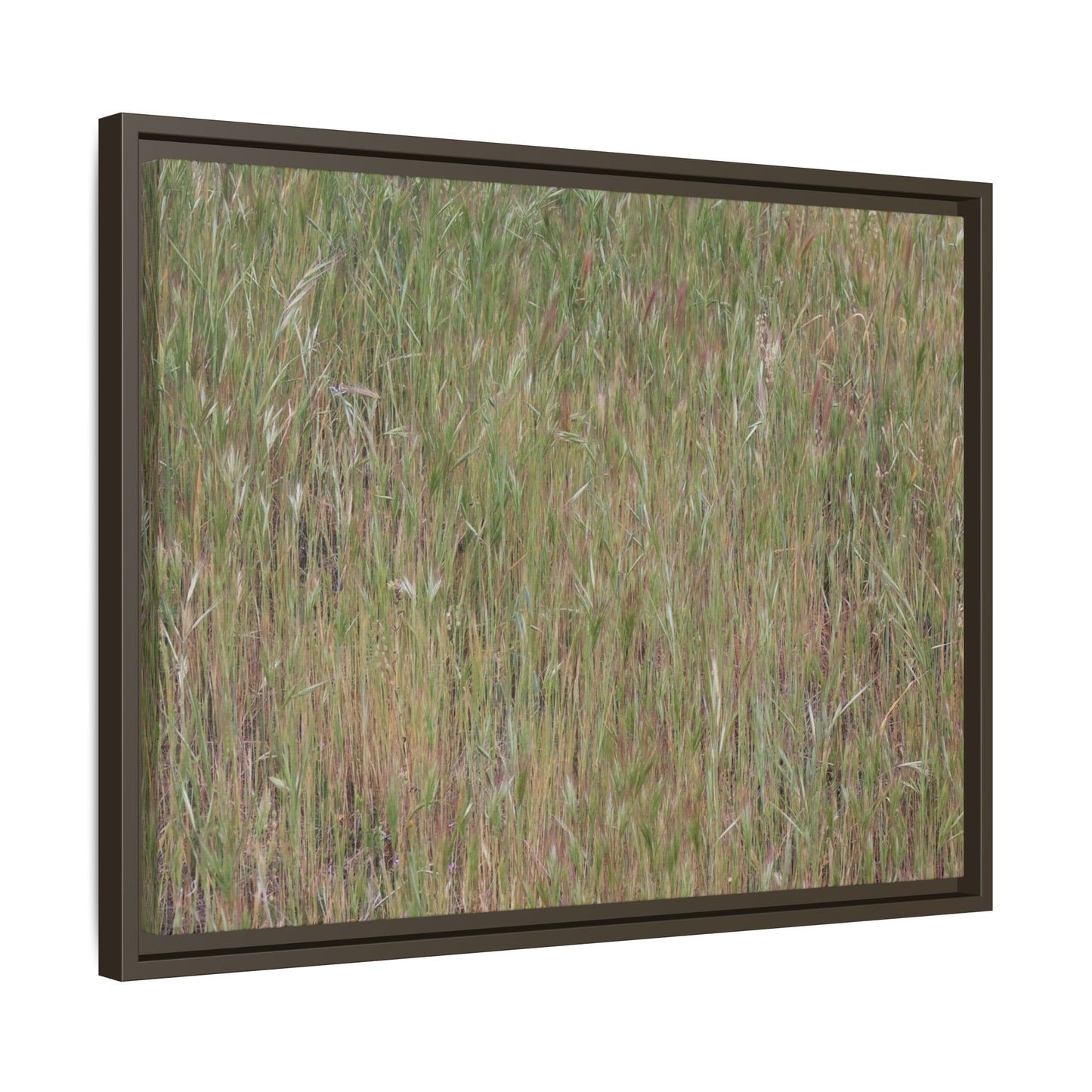 Field of Dreams - Unique Stretched Canvas Wall Art