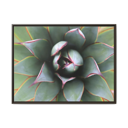 Spiky Elegance - Unique Stretched Canvas Wall Art
