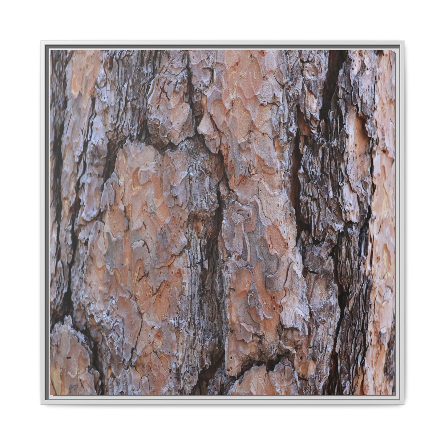 Tree Skin Symphony - Unique Stretched Canvas Wall Art