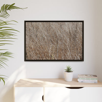 Dry Grass Symphony - Unique Stretched Canvas Wall Art - Art By Earth