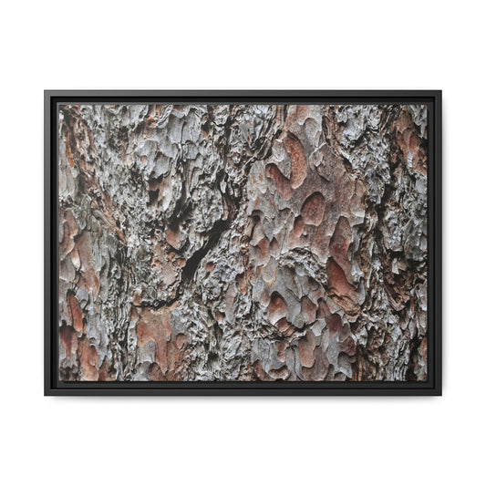 Bark Texture Symphony - Unique Stretched Canvas Wall Art
