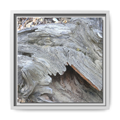 Driftwood Dreams - Unique Stretched Canvas Wall Art