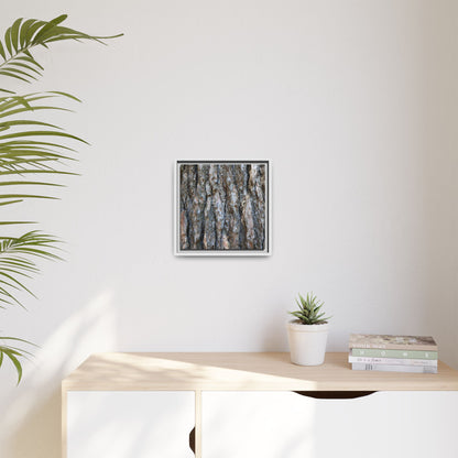 Bark Whispers - Unique Stretched Canvas Wall Art