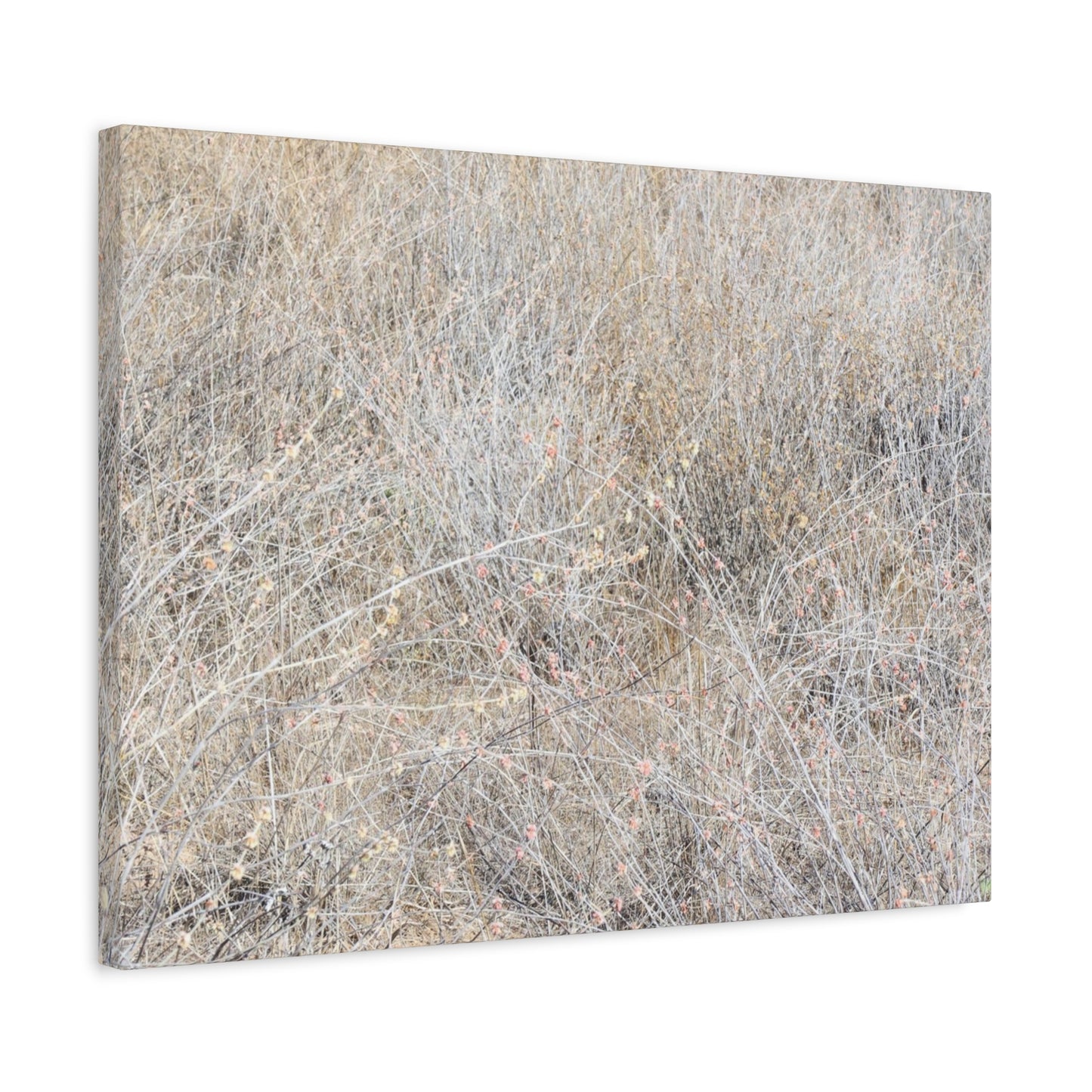 Tangled Whispers of Autumn's Fading Breath - Unique Frameless Canvas Wall Art - Art By Earth