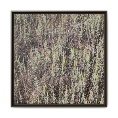 Sage Fields Forever - Unique Stretched Canvas Wall Art - Art By Earth